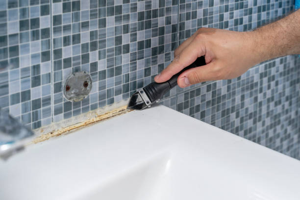 Reliable Edgerton, MN Mold Removal Solutions